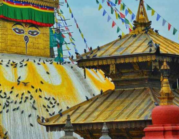 7 Nights 8 Days Nepal Tour Package